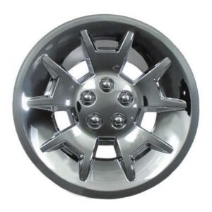 10" Silver Metallic Demon Wheel Cover