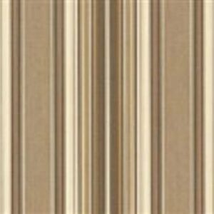 CHAM CP 36″ VAL 4817 WESTFIELD MUSHROOM (ALL CC, YA G1)