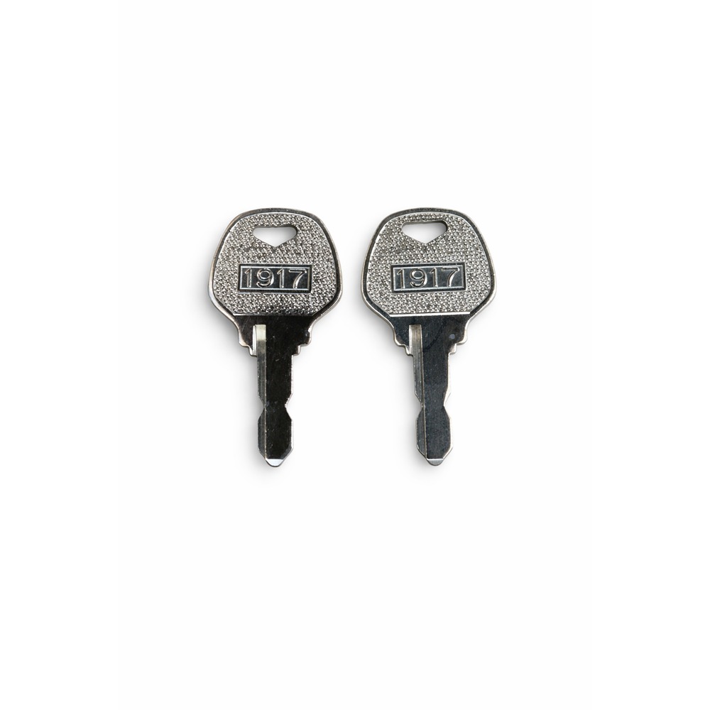 Columbia Par Car / Harley-Davidson Golf Cart Ignition Key, 1989-1995, Set of 2, Replaces OEM 71766-82A