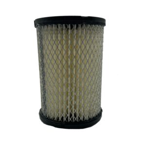 Club Car-Columbia Par Car Air Filter Replacement (Years 1976-1995)