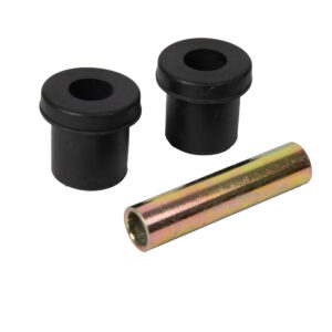 Club Car DS Rear Spring Bushing Kit