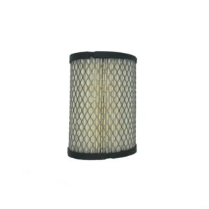 EZGO Air Filter (Years Select Models)