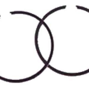 EZGO Gas Piston / Ring Assembly (Years 1980-1988)
