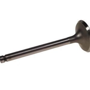 EZGO RXV Intake Valve (Years 2008-Up)